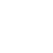 No Limit City logo